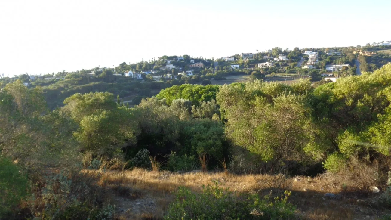 Sotogrande Alto, San Roque, Cadiz Spain