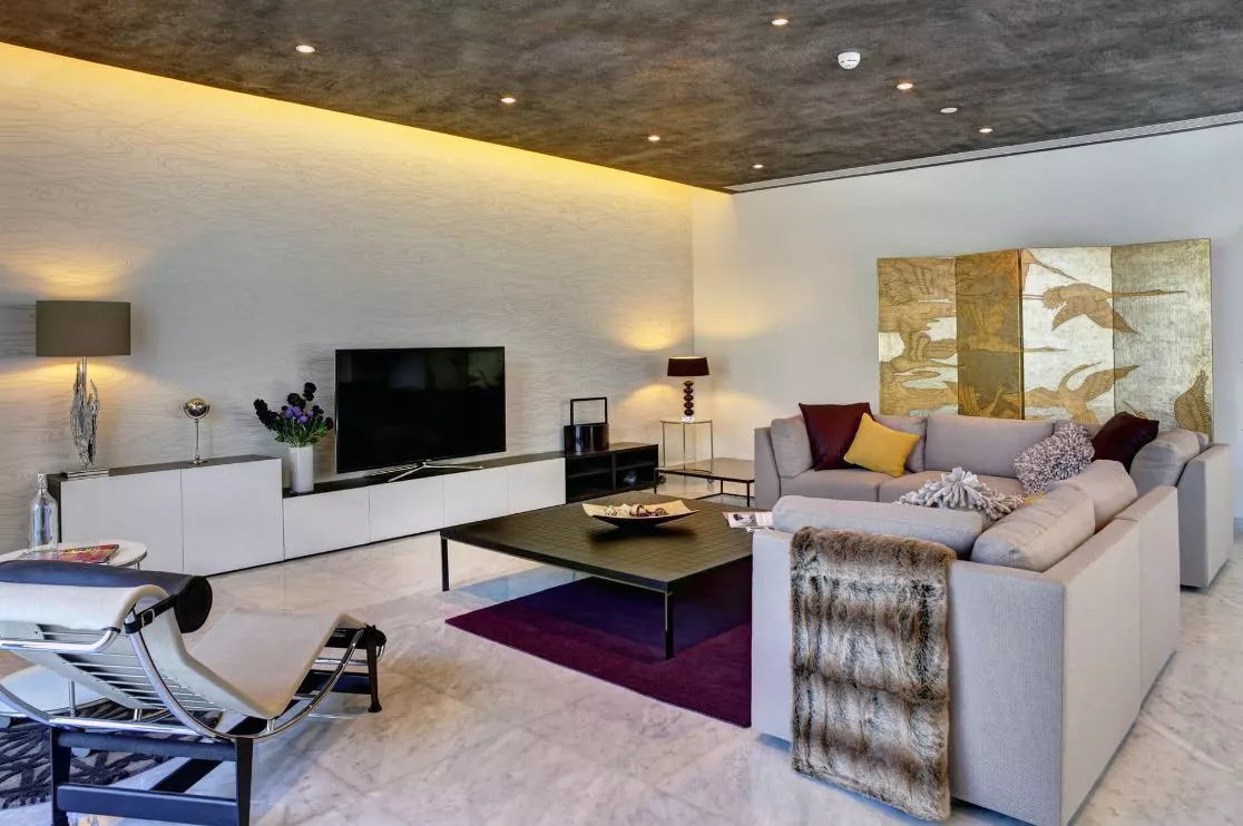 Contemporary Mansion
