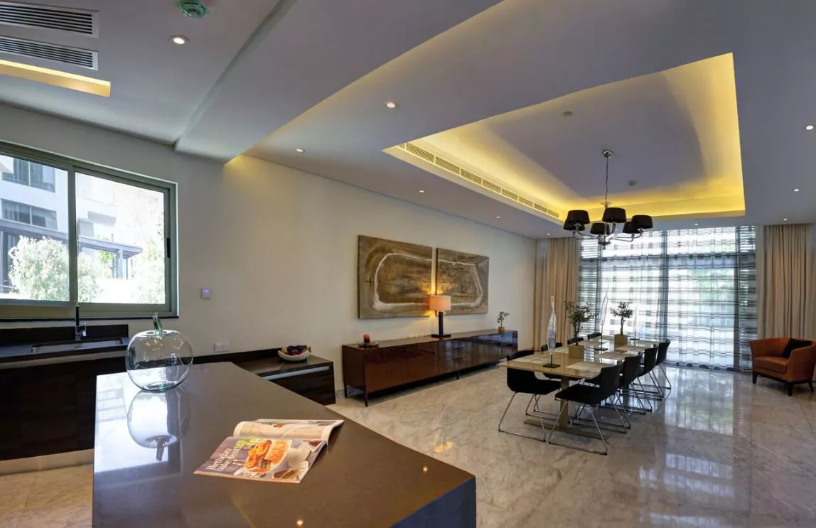 Contemporary Mansion
